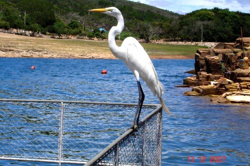 Pousada Araras Lago De Furnas Sao Jose da Barra Zewnętrze zdjęcie